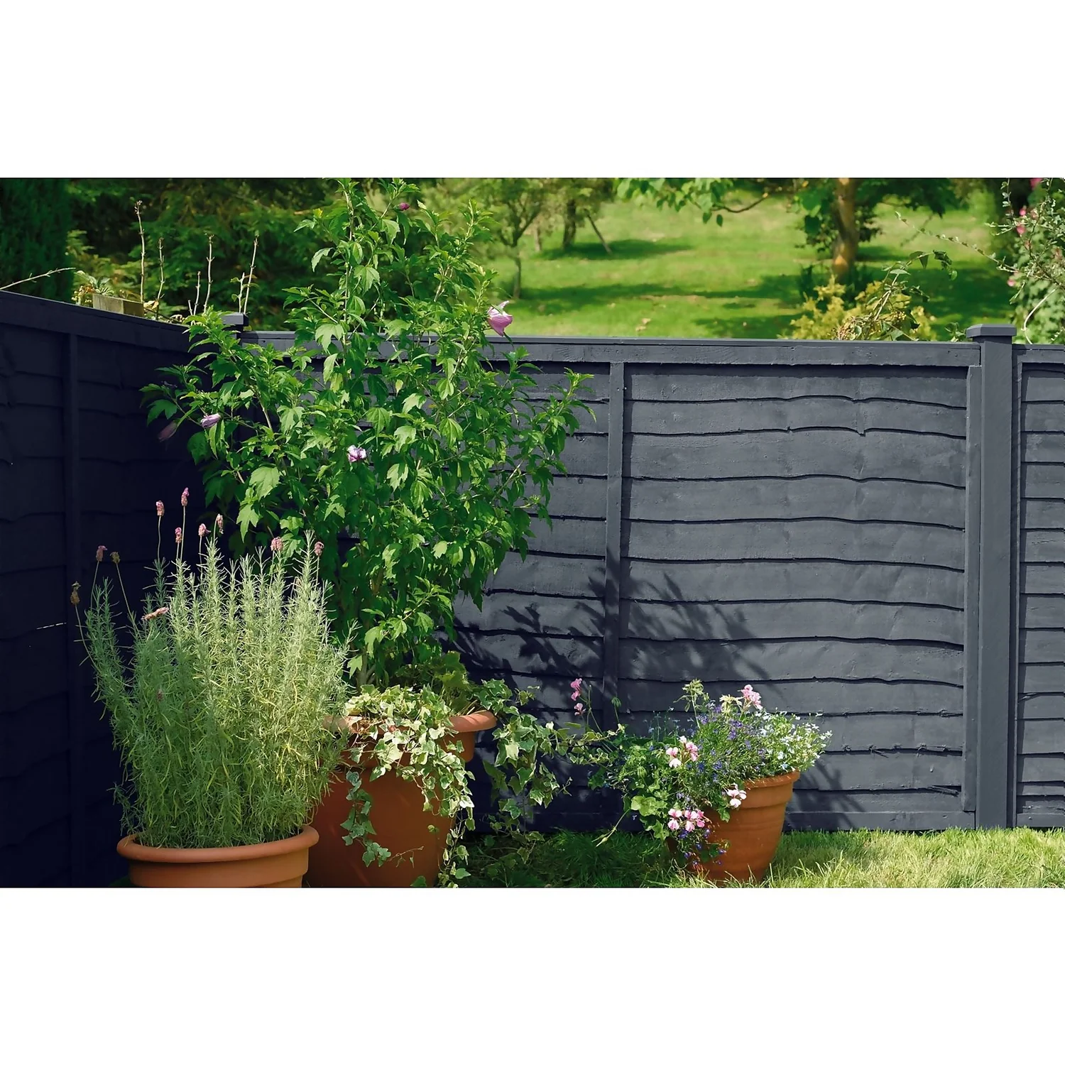 Cuprinol 5 Year Ducksback - Silver Copse - 5L 4 Cuprinol 5 Year Ducksback - Silver Copse - 5L - Image 2