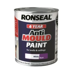 Ronseal Anti Mould Paint Matt 750ml