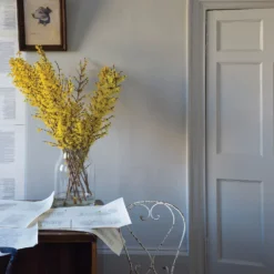 Farrow & Ball Estate Matt Emulsion Paint Purbeck Stone - 2.5L 7 Farrow & Ball Estate Matt Emulsion Paint Purbeck Stone - 2.5L -Home Improvement 12810410 1164951339357779