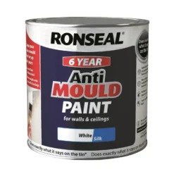 Anti Mould Paint White Silk - 2.5L