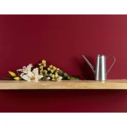 Craig & Rose 1829 Chalky Emulsion Paint Medici Crimson - 750ml -Home Improvement 12821687 1694833172201776