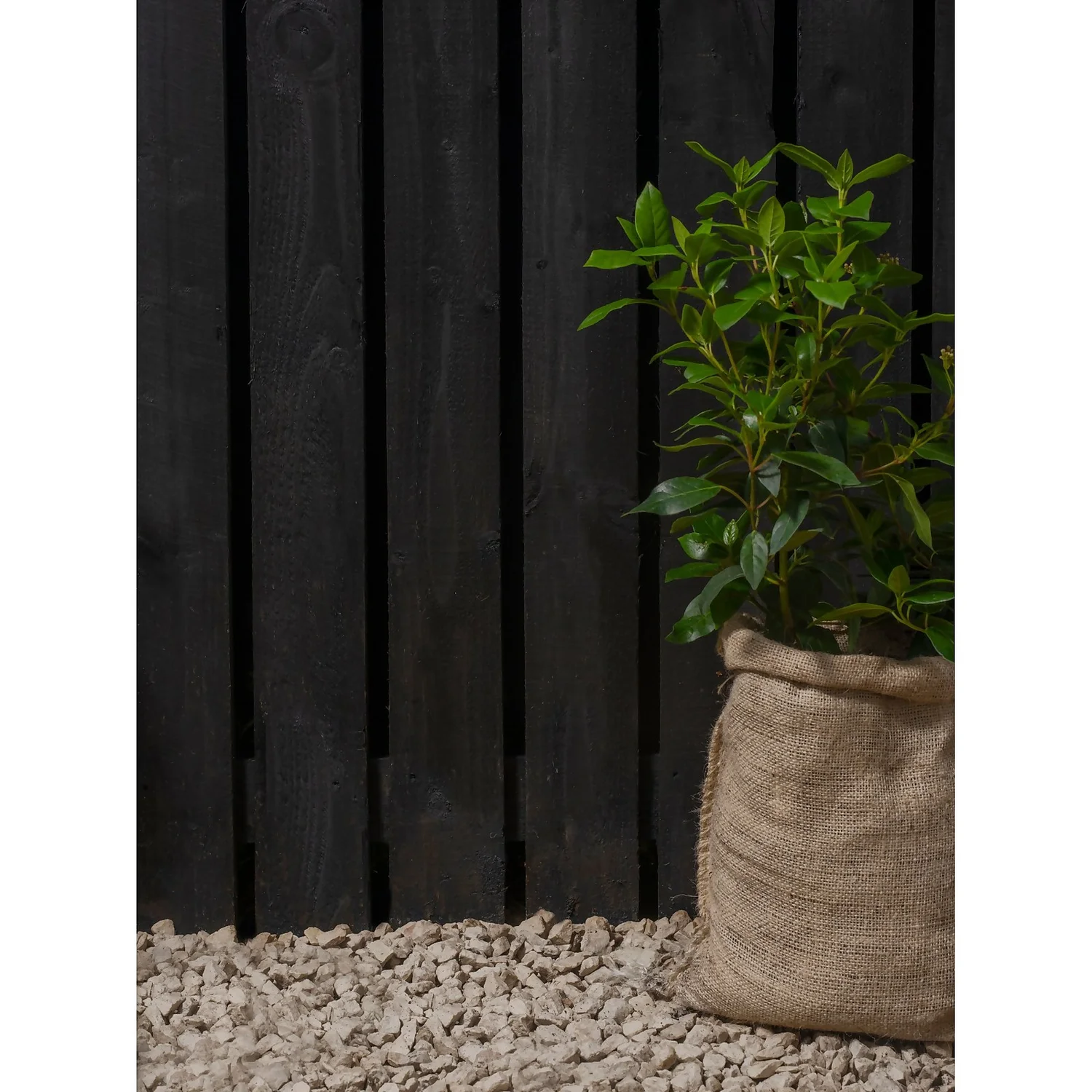 Ronseal Fence Life Plus Paint Tudor Black Oak - 5L 6 Ronseal Fence Life Plus Paint Tudor Black Oak - 5L - Image 4