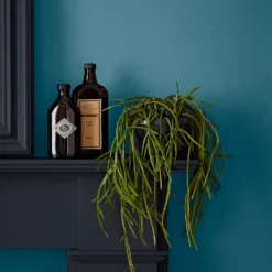 Crown Easyclean Bathroom Paint Teal - 0.04L -Home Improvement 12886566 2014853989681893