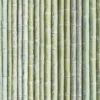 Organic Textures Bamboo Green Wallpaper