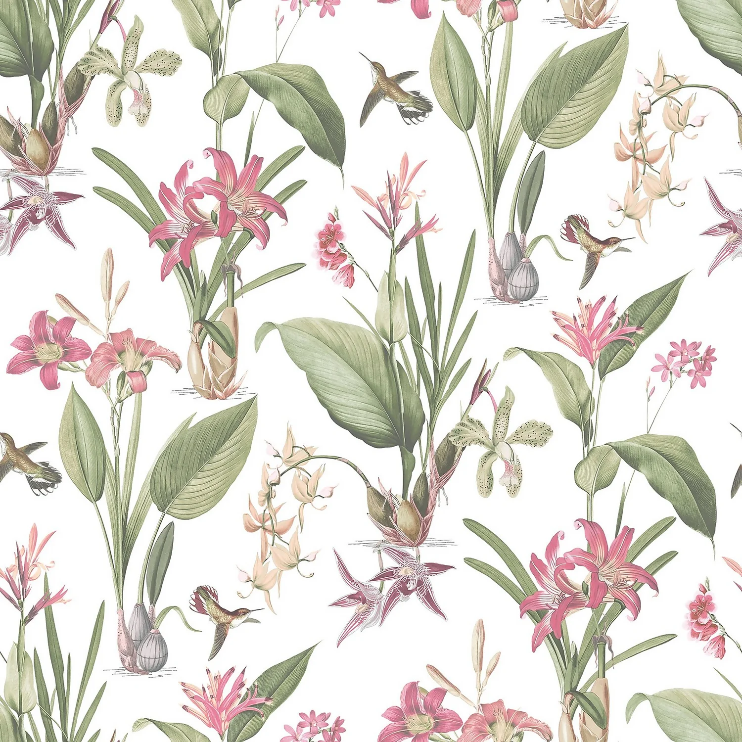 Galerie Botanical Illustration Pink Large Wallpaper Sample 3 Galerie Botanical Illustration Pink Large Wallpaper Sample